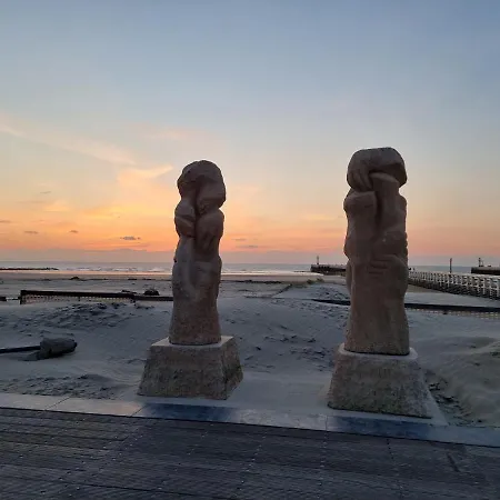 Surfin Domek alpejski